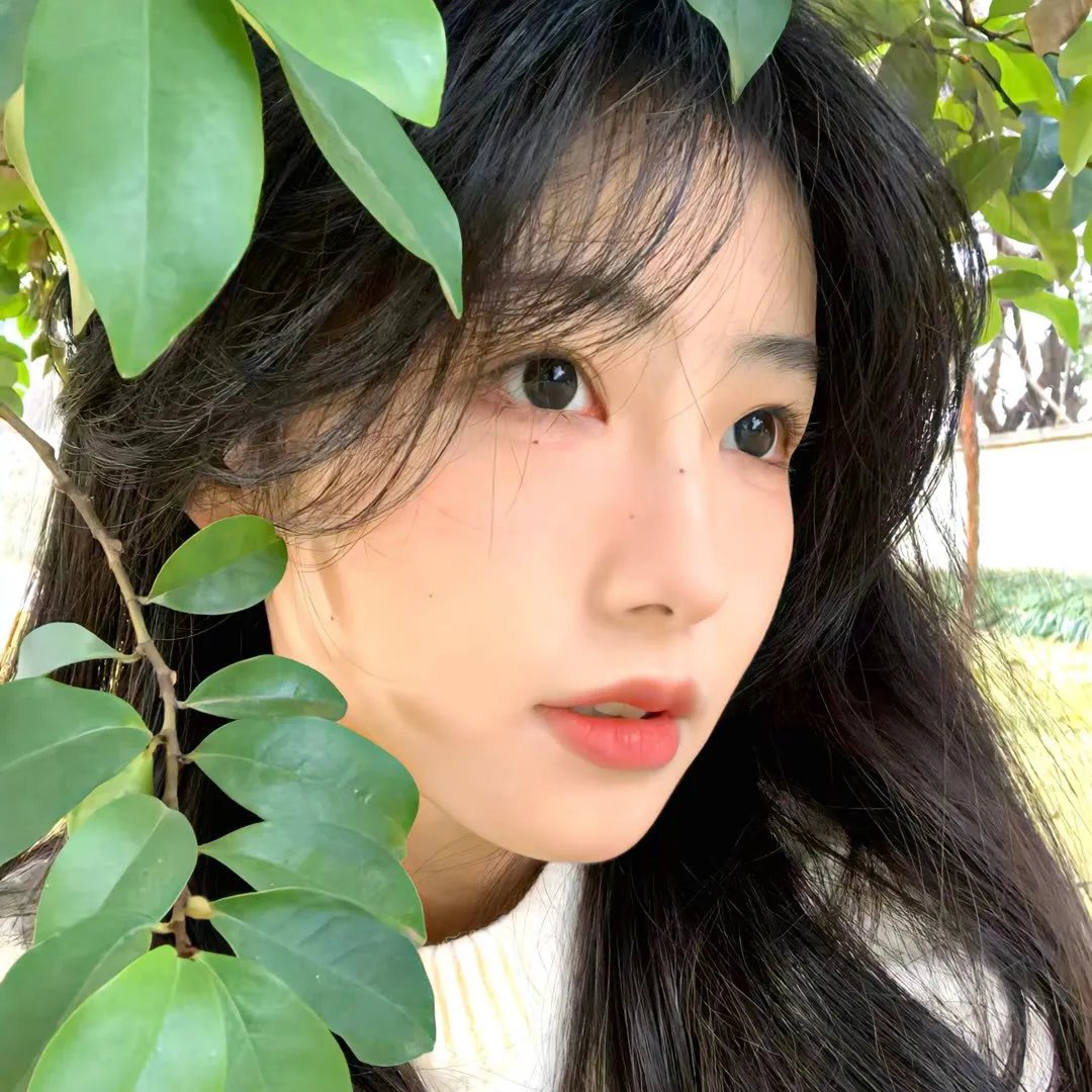 破茧：逃出生天